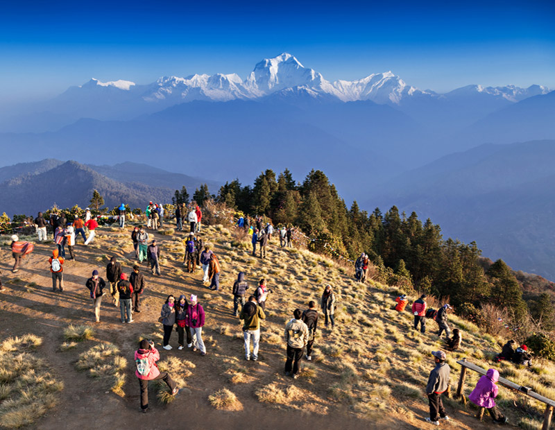 Ghorepani Poonhill Trek