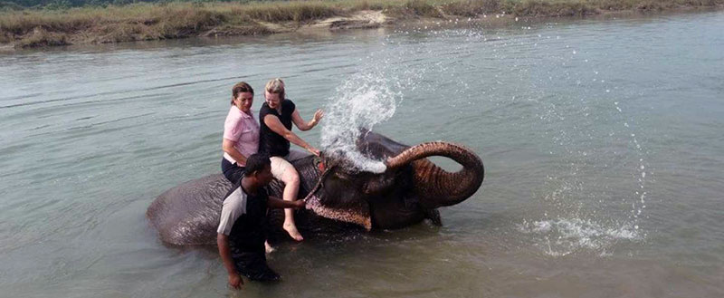 Elephant Bathing