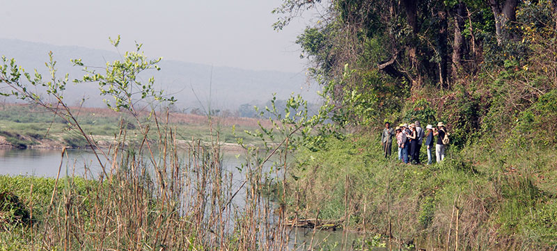 Chitwan Jungle Walk