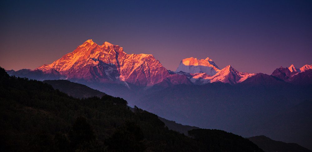 Charikot