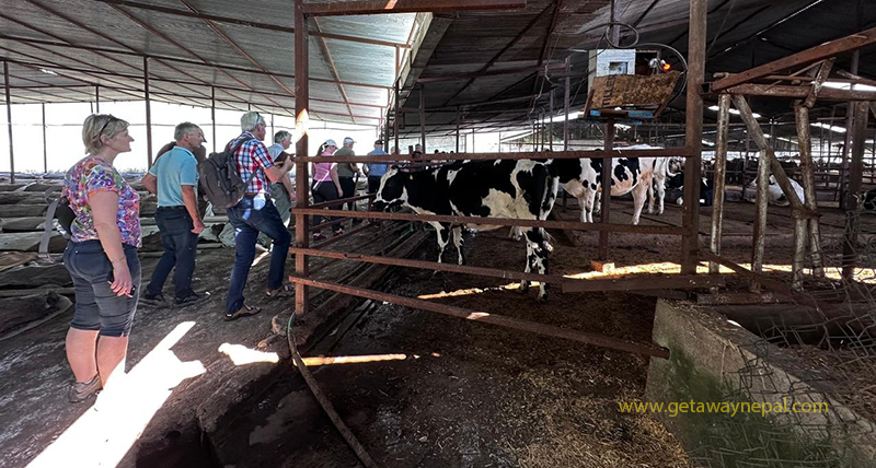 Farm Tour in Nepal