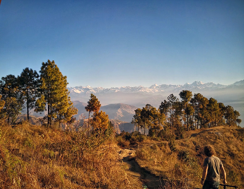 Nepal Hills & Wildlife Tour