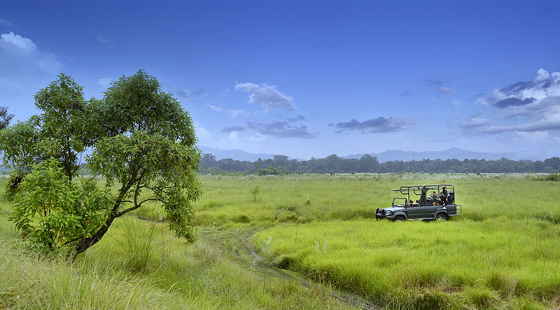 Hotel Barahi Jungle Lodge