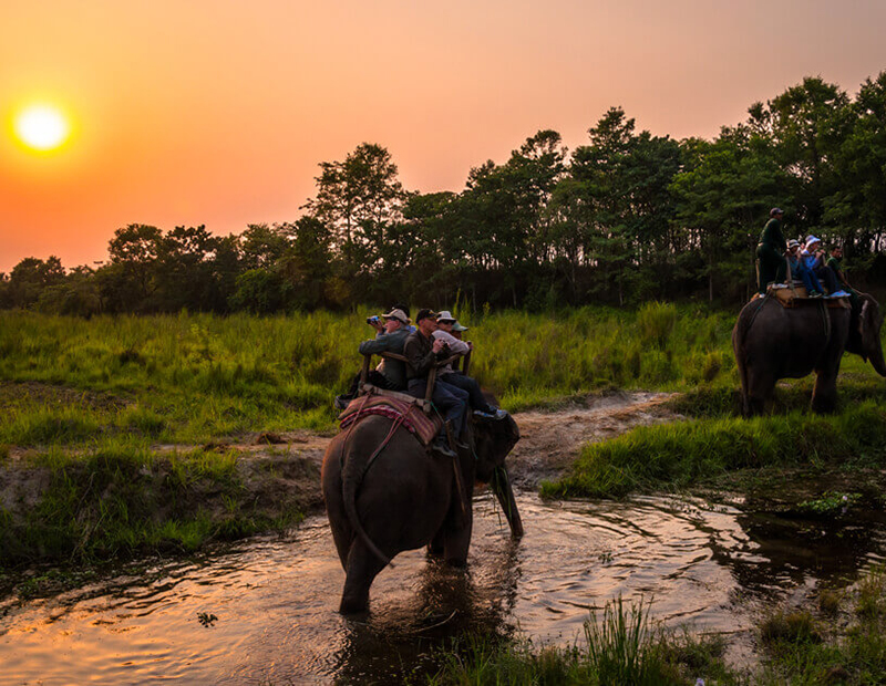 Best of 20 Days in Nepal