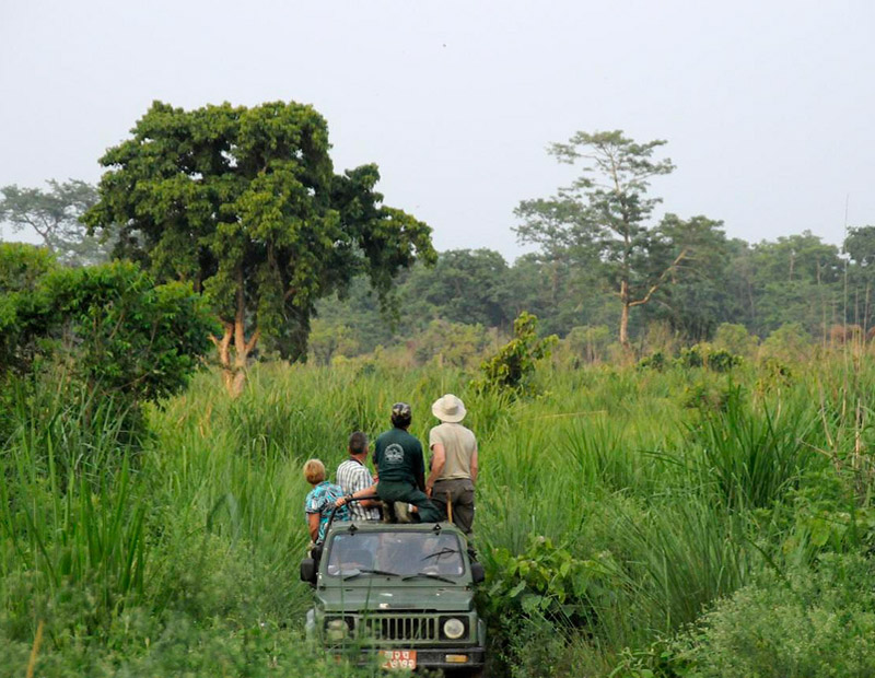 Safari at Chitwan National Park